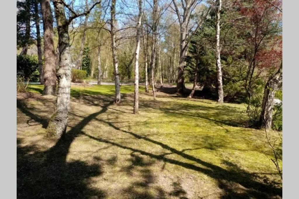 Villa Les Lutins Le Touquet Экстерьер фото